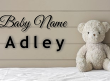 Baby Name Adley
