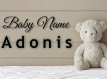 Baby Name Adonis