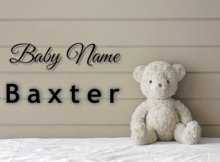 Baby Name Baxter