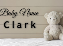 Baby name Clark