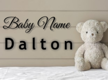 Baby Name Dalton