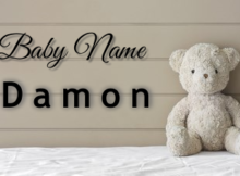 Baby Name Damon