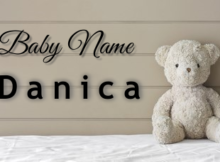 Baby Name Danica