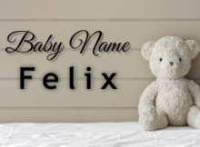 Baby Name Felix