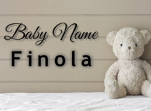 Baby Name Finola