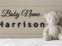 Baby Name Harrison