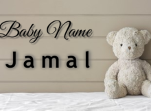 Baby Name Jamal