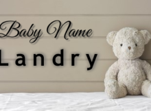 Baby Name Landry