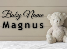 Baby Name Magnus