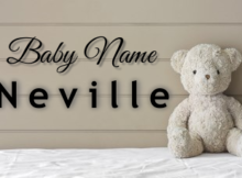 Baby Name Neville