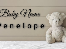 Baby Name Penelope