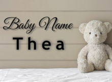 Baby Name Thea