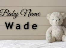 Baby Name Wade