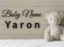 Baby Name Yaron