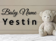 Baby Name Yestin