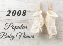 Popular Baby Names 2008