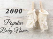 Popular Baby Names 2000