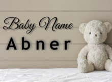 Baby Name Abner