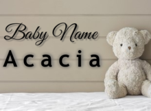 Baby Name Acacia