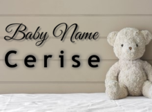 Baby Name Cerise
