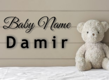 Baby Name Damir