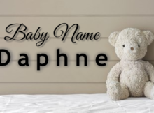 Baby Name Daphne
