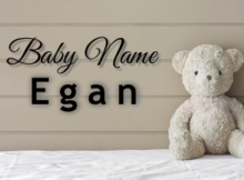 Baby Name Egan