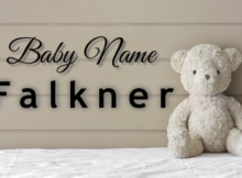 Baby Name Falkner