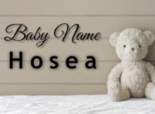 Baby Name Hosea