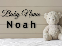 Baby Name Noah