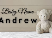 Baby Name Andrew