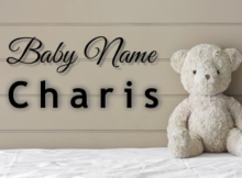 Baby Name Charis