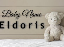 Baby Name Eldoris