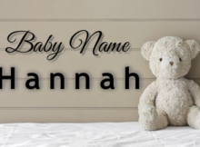 Baby Name Hannah