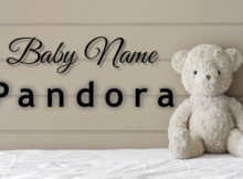 Baby Name Pandora