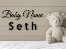 Baby Name Seth