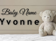 Baby Name Yvonne