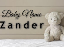 Baby Name Zander